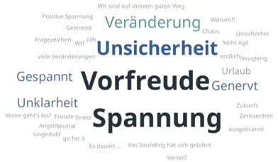 agilzusammenwachsen_monitoring_2