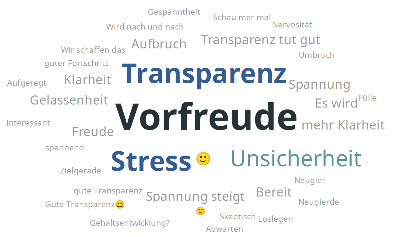 agilzusammenwachsen_monitoring_3